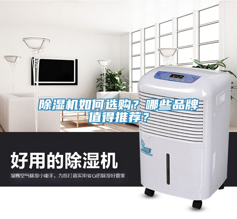 除濕機(jī)如何選購(gòu)？哪些品牌值得推薦？