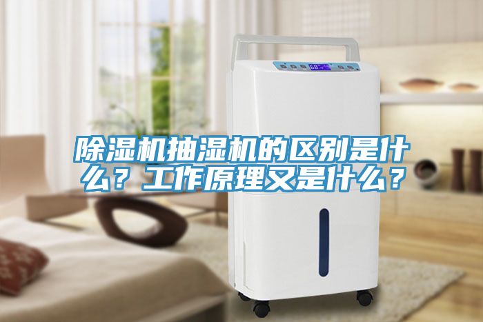除濕機抽濕機的區別是什么？工作原理又是什么？