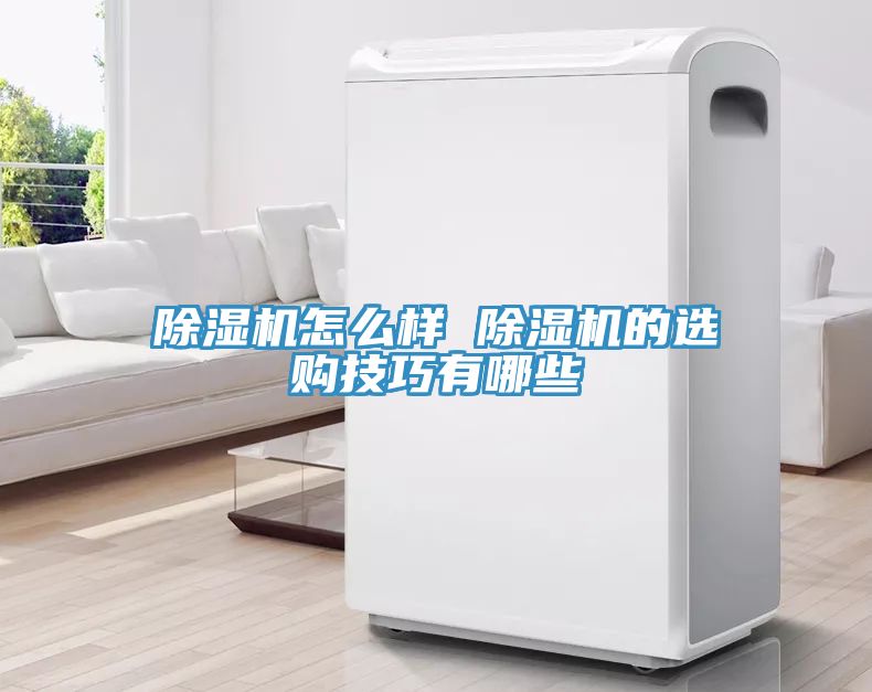 除濕機(jī)怎么樣 除濕機(jī)的選購(gòu)技巧有哪些