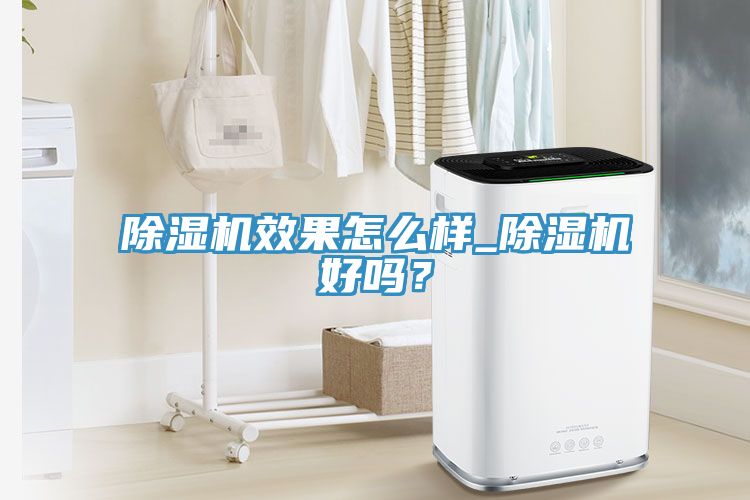除濕機效果怎么樣_除濕機好嗎？