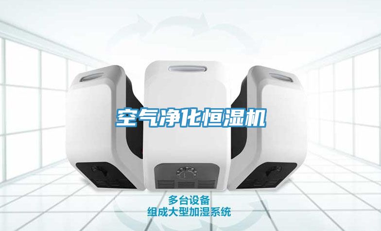空氣凈化恒濕機