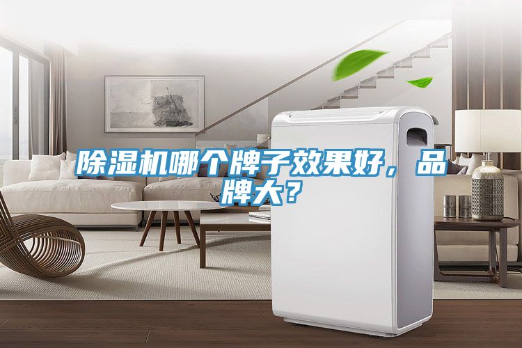除濕機哪個牌子效果好，品牌大？