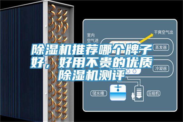 除濕機(jī)推薦哪個(gè)牌子好，好用不貴的優(yōu)質(zhì)除濕機(jī)測(cè)評(píng)