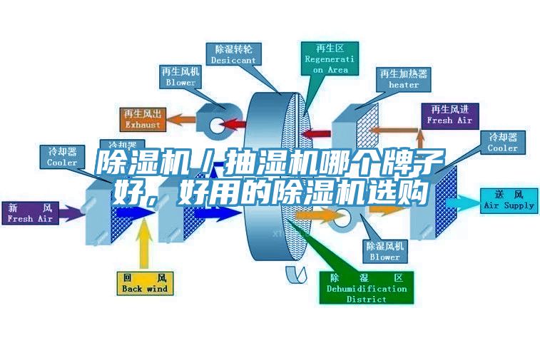 除濕機／抽濕機哪個牌子好，好用的除濕機選購