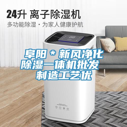 阜陽(yáng)*新風(fēng)凈化除濕一體機(jī)批發(fā) 制造工藝優(yōu)