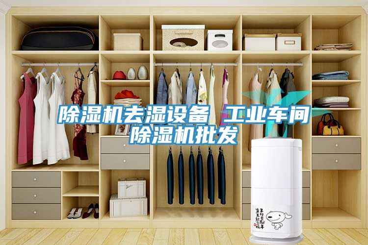 除濕機(jī)去濕設(shè)備 工業(yè)車間除濕機(jī)批發(fā)