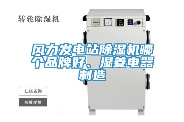 風(fēng)力發(fā)電站除濕機(jī)哪個(gè)品牌好、濕菱電器制造