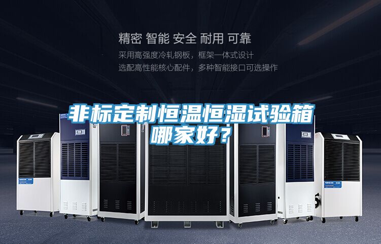 非標定制恒溫恒濕試驗箱哪家好?