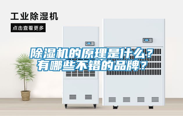 除濕機(jī)的原理是什么？有哪些不錯(cuò)的品牌？