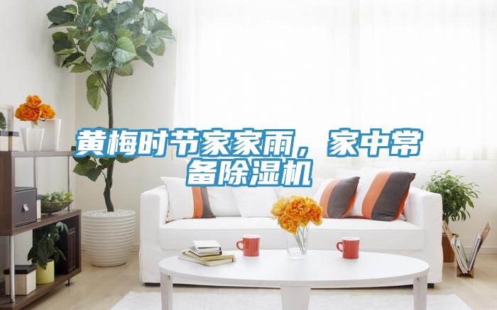 黃梅時節(jié)家家雨,家中常備除濕機
