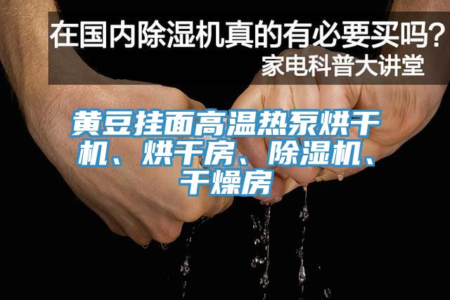 黃豆掛面高溫?zé)岜煤娓蓹C、烘干房、除濕機、干燥房