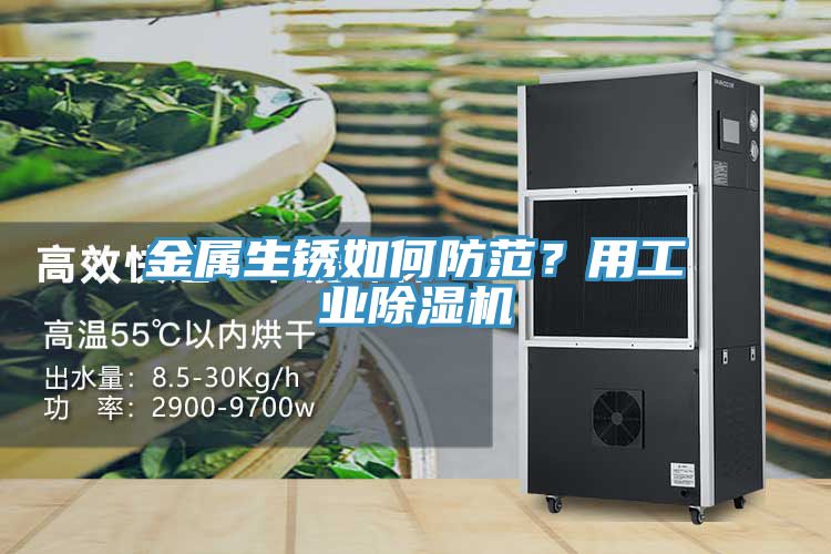 金屬生銹如何防范？用工業除濕機