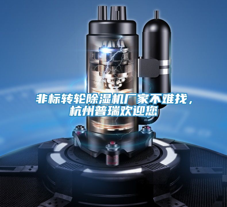 非標轉輪除濕機廠家不難找，杭州普瑞歡迎您