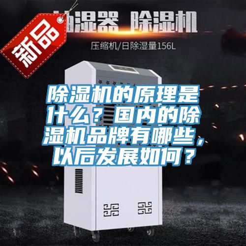 除濕機(jī)的原理是什么？國(guó)內(nèi)的除濕機(jī)品牌有哪些，以后發(fā)展如何？
