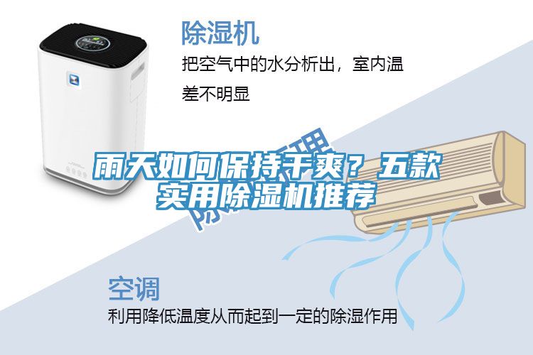 雨天如何保持干爽?五款實(shí)用除濕機(jī)推薦