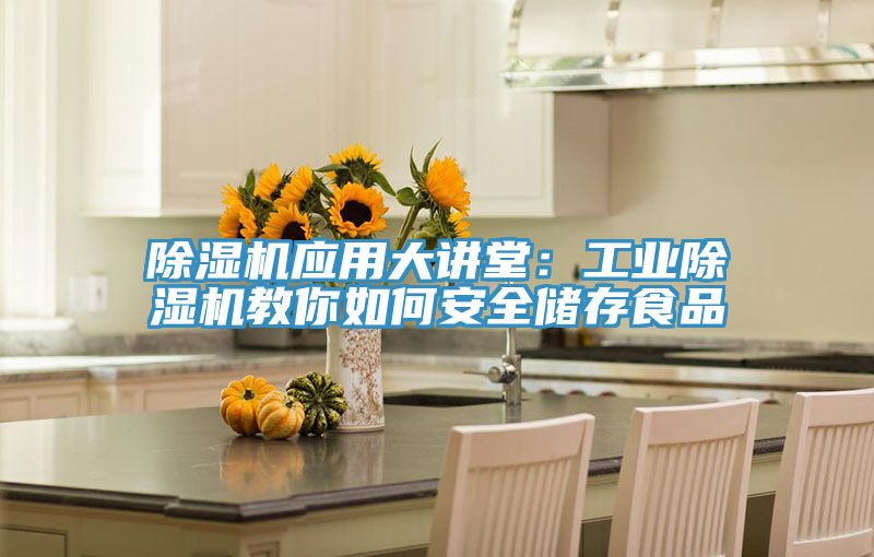 除濕機應(yīng)用大講堂:工業(yè)除濕機教你如何安全儲存食品