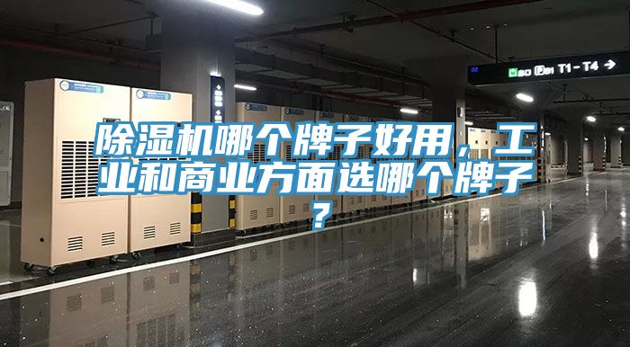 除濕機(jī)哪個(gè)牌子好用，工業(yè)和商業(yè)方面選哪個(gè)牌子？