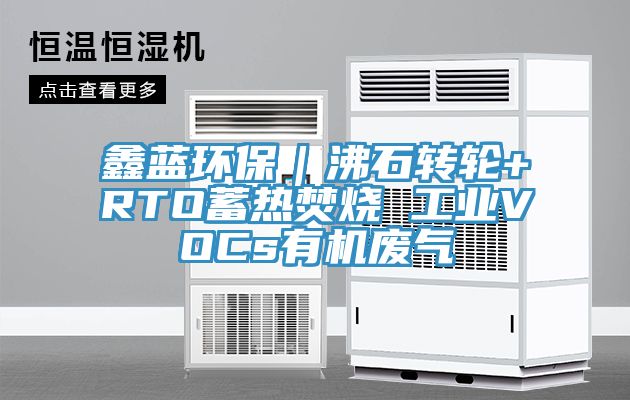 鑫藍環保|沸石轉輪+RTO蓄熱焚燒 工業VOCs有機廢氣