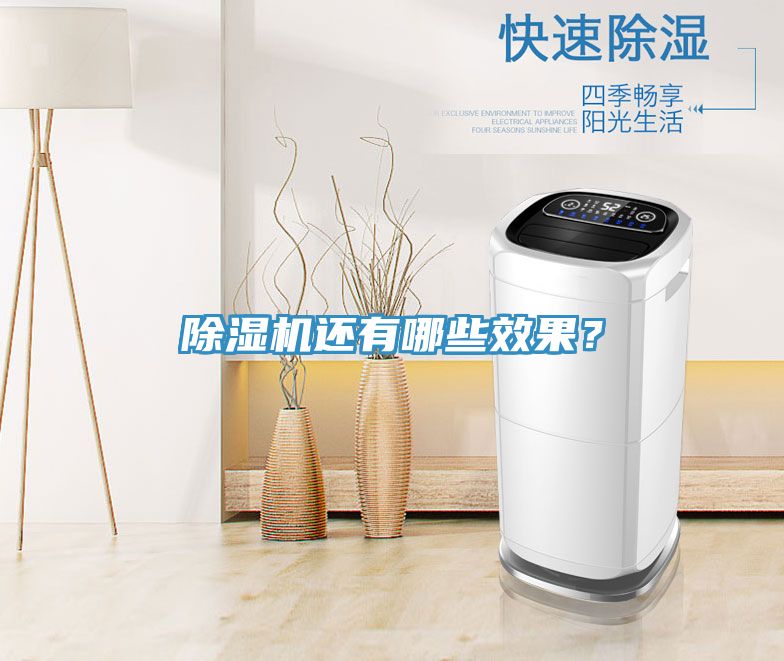 除濕機還有哪些效果？