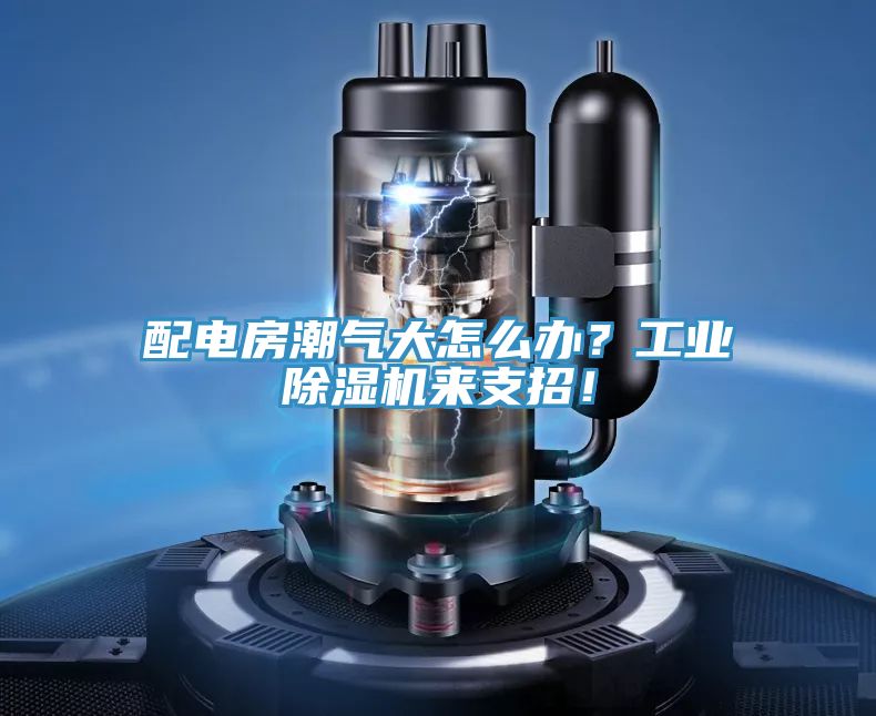 配電房潮氣大怎么辦？工業(yè)除濕機(jī)來(lái)支招！