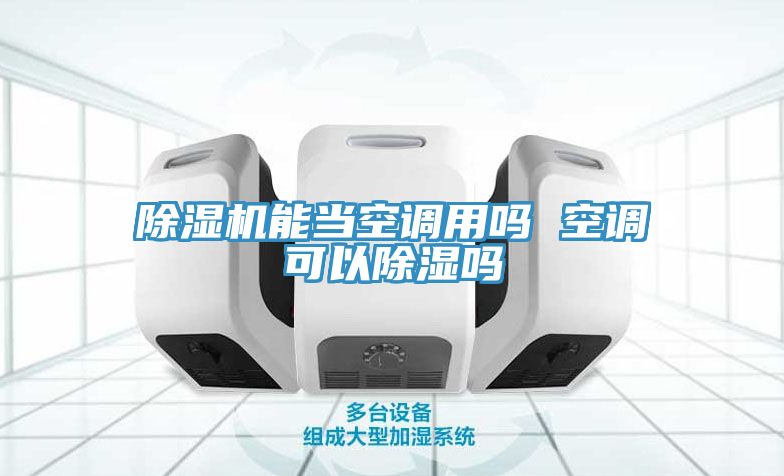 除濕機(jī)能當(dāng)空調(diào)用嗎 空調(diào)可以除濕嗎