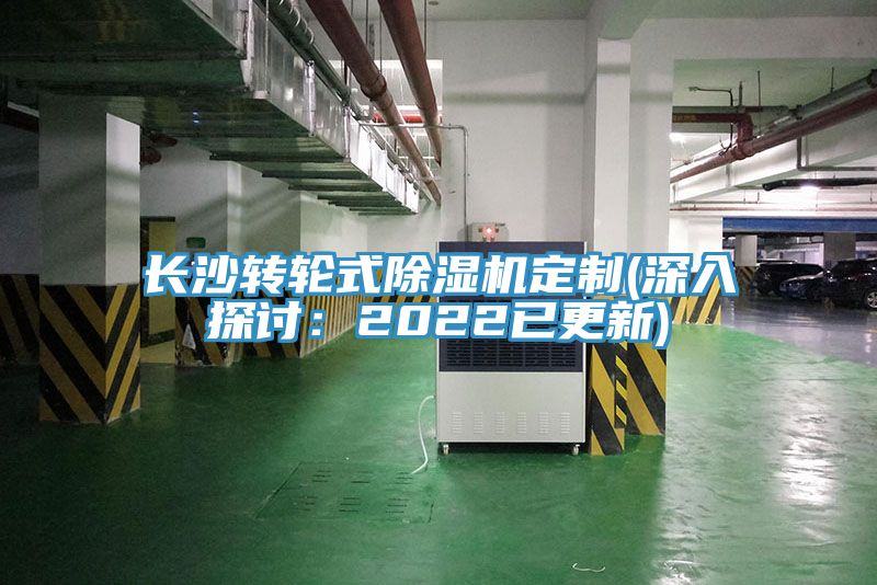 長(zhǎng)沙轉(zhuǎn)輪式除濕機(jī)定制(深入探討:2022已更新)