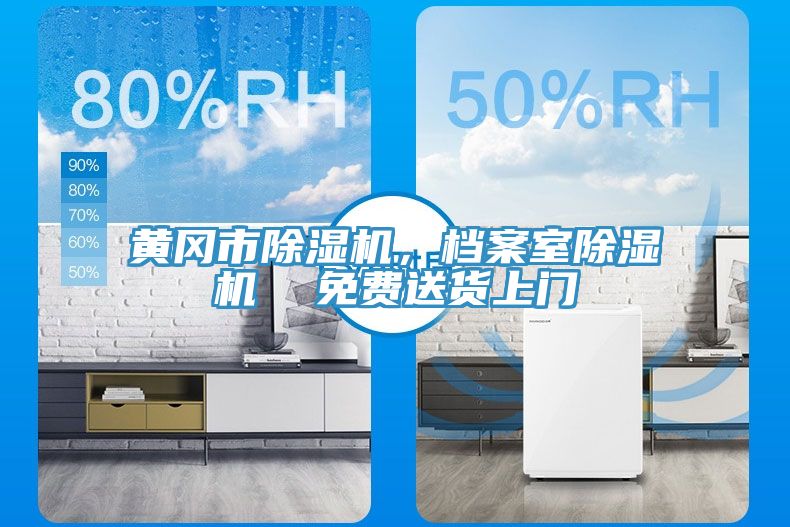 黃岡市除濕機,檔案室除濕機 免費送貨上門