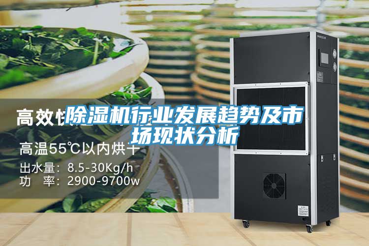 除濕機(jī)行業(yè)發(fā)展趨勢(shì)及市場(chǎng)現(xiàn)狀分析