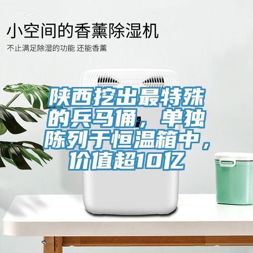 陜西挖出最特殊的兵馬俑，單獨(dú)陳列于恒溫箱中，價(jià)值超10億