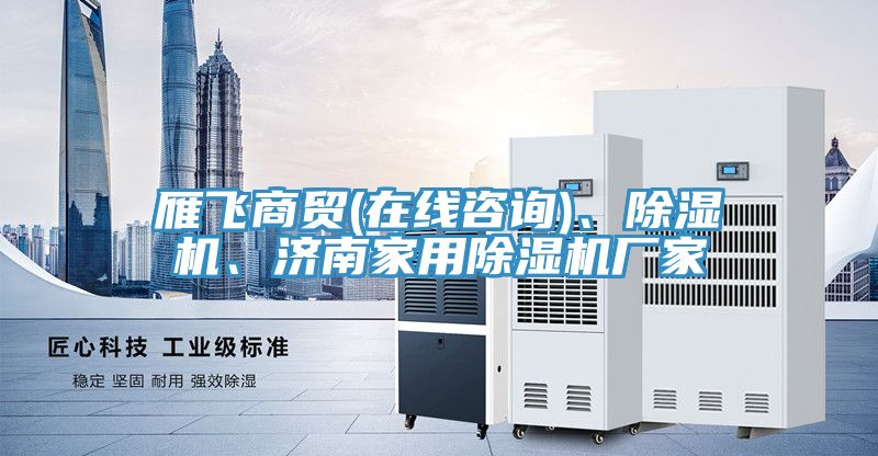 雁飛商貿(在線咨詢)、除濕機、濟南家用除濕機廠家