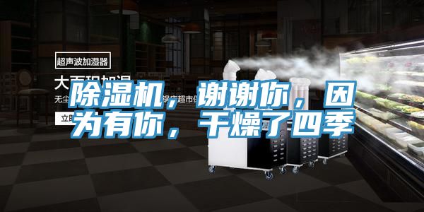 除濕機，謝謝你，因為有你，干燥了四季