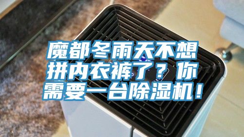 魔都冬雨天不想拼內衣褲了？你需要一臺除濕機！