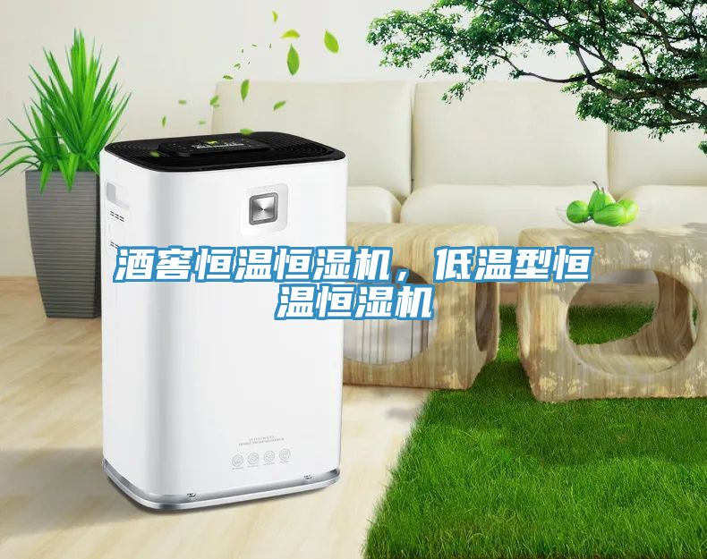 酒窖恒溫恒濕機，低溫型恒溫恒濕機