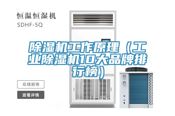 除濕機工作原理(工業(yè)除濕機10大品牌排行榜)