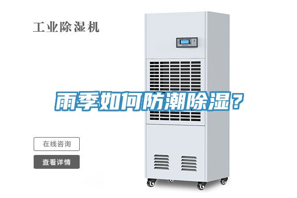雨季如何防潮除濕？