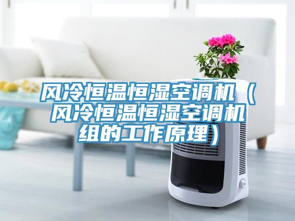 風冷恒溫恒濕空調機(風冷恒溫恒濕空調機組的工作原理)