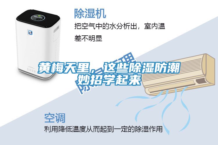 黃梅天里,這些除濕防潮妙招學起來