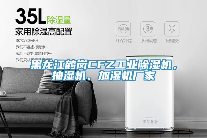 黑龍江鶴崗CFZ工業(yè)除濕機，抽濕機、加濕機廠家