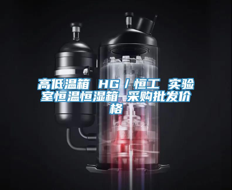 高低溫箱 HG／恒工 實驗室恒溫恒濕箱 采購批發(fā)價格