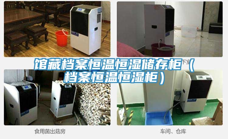 館藏檔案恒溫恒濕儲存柜(檔案恒溫恒濕柜)