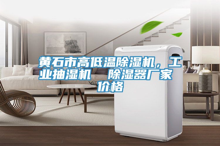 黃石市高低溫除濕機，工業(yè)抽濕機  除濕器廠家 價格