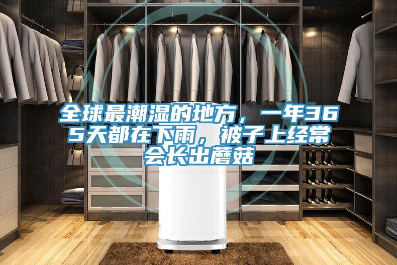 全球最潮濕的地方，一年365天都在下雨，被子上經常會長出蘑菇