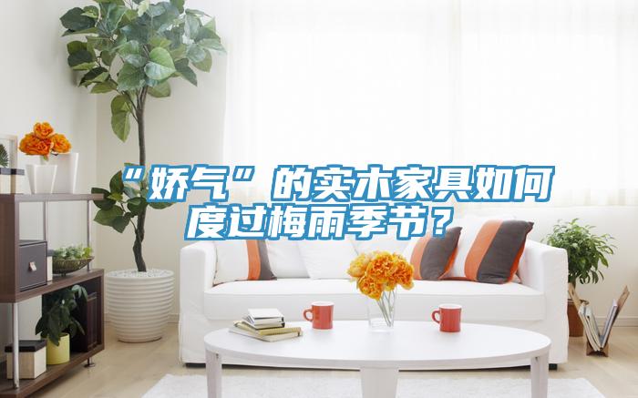 “嬌氣”的實木家具如何度過梅雨季節(jié)？