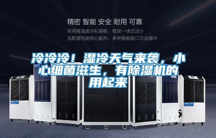 冷冷冷！濕冷天氣來襲，小心細菌滋生，有除濕機的用起來