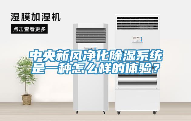 中央新風凈化除濕系統(tǒng)是一種怎么樣的體驗？