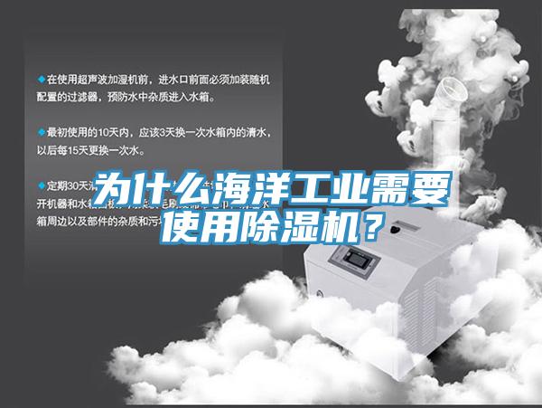 為什么海洋工業需要使用除濕機？