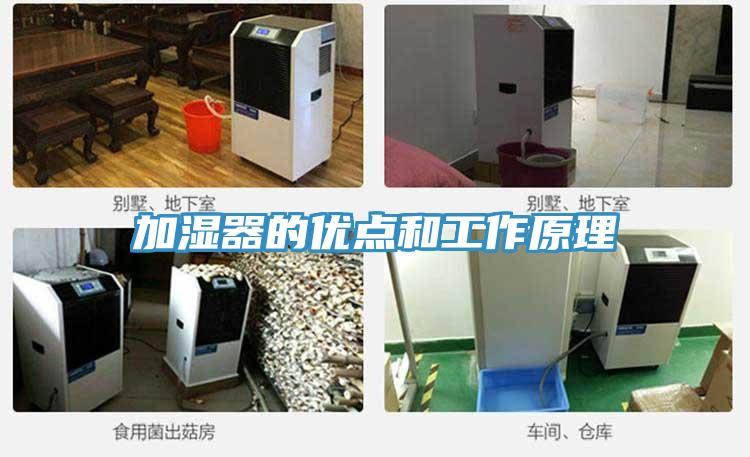 加濕器的優點和工作原理