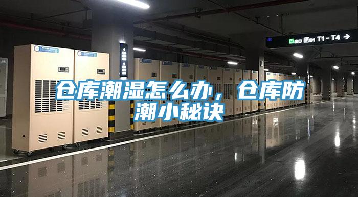 倉庫潮濕怎么辦，倉庫防潮小秘訣