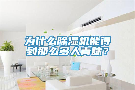 為什么除濕機(jī)能得到那么多人青睞？