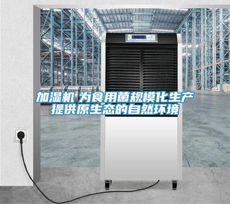 加濕機　為食用菌規(guī)模化生產(chǎn)提供原生態(tài)的自然環(huán)境